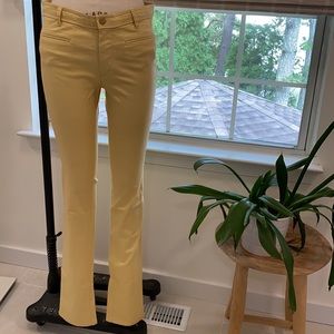 Isabel Marant Skinny Trouser Jean